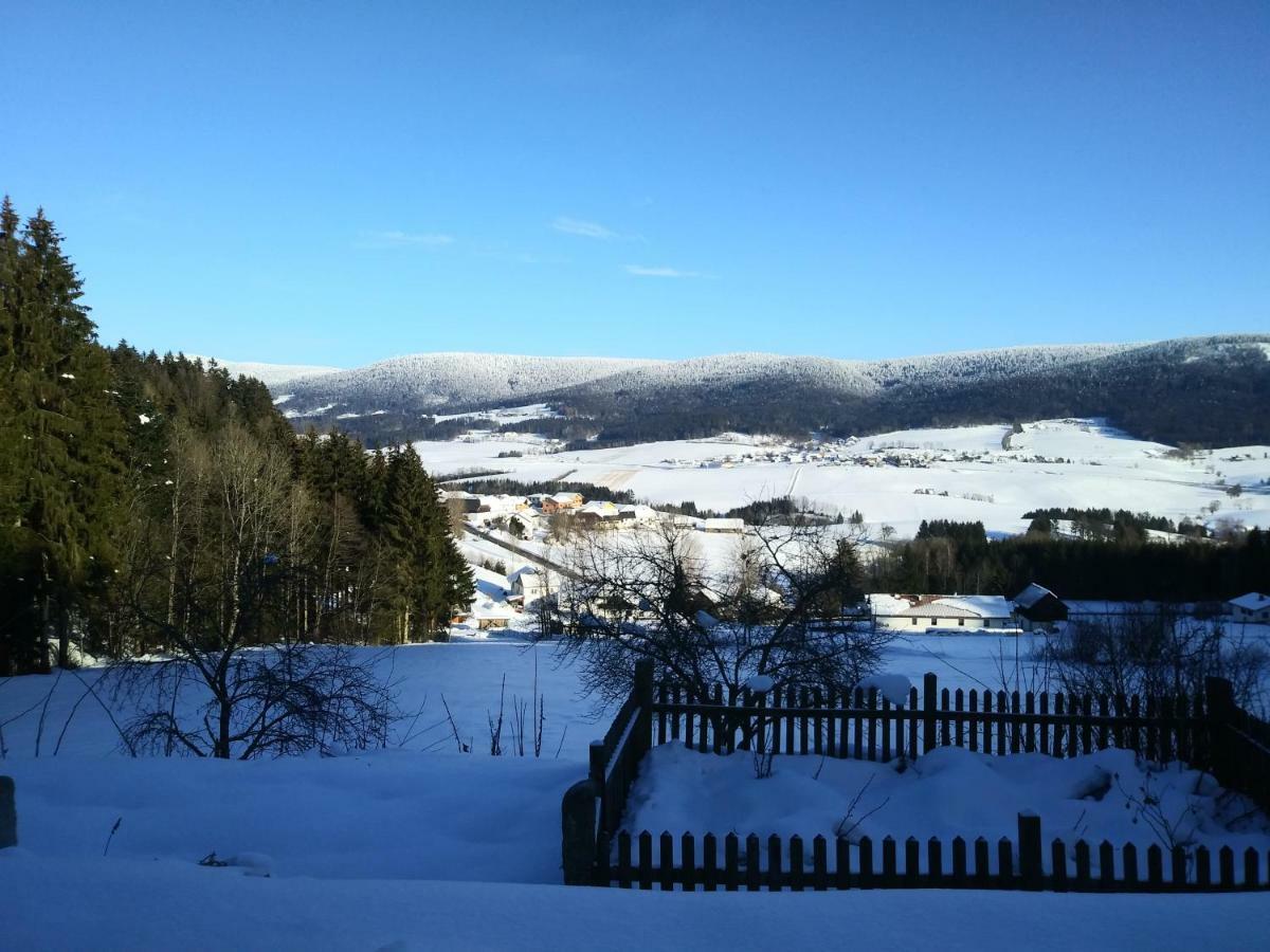 Ferienhaus Herrnbauer Zaglau Buitenkant foto